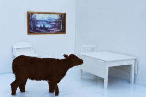 Animal Story av Gjert Rognli Animal Story av Gjert Rognli