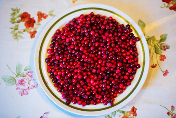 Fat med tyttebær. Foto: Reni Jasinski Wright.