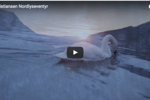 Skjermbilde 2017-05-19 kl. 15.03.20 kopi Skjermbilde 2017-05-19 kl. 15.03.20 kopi