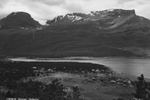 generated_01_03_20_33_44 generated_01_03_20_33_44