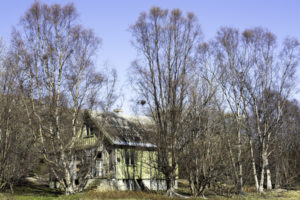 Hus på Årøyholmen. Foto: Tania Lopez