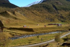 Setra i Svartskogen.