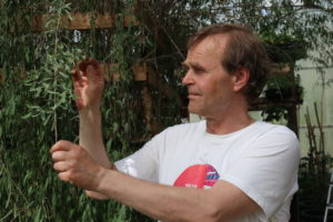 Tom Lien dyrker rundt 200 forskjellige planter fra hele verden. Foto: Torun O. Wernberg