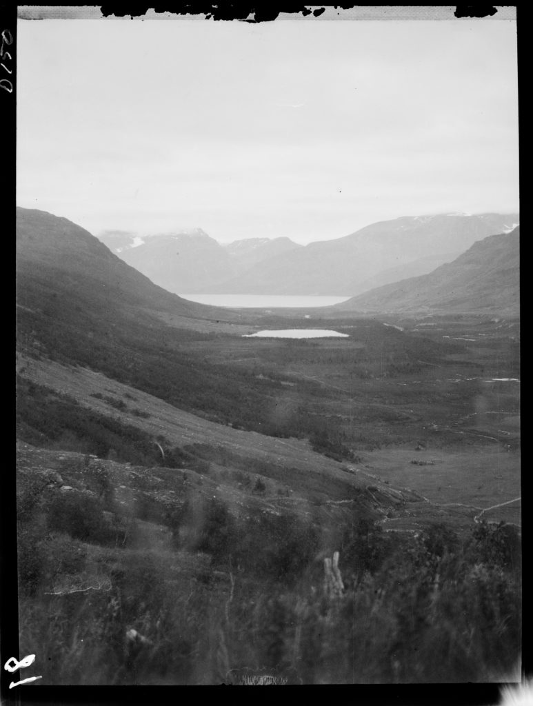 Reinbeitekommisjonen av 1913